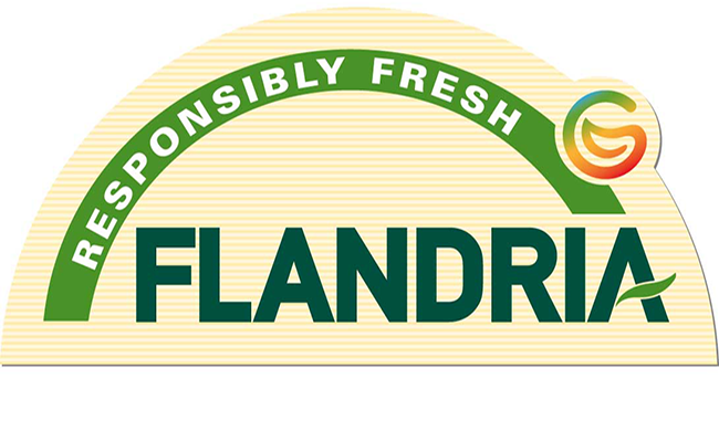 FLANDRIA